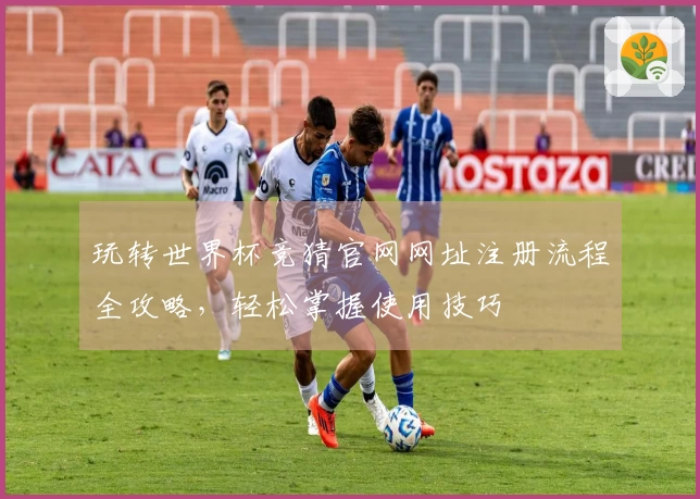 玩转世界杯竞猜官网网址注册流程全攻略，轻松掌握使用技巧