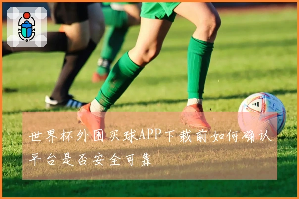 世界杯外围买球APP下载前如何确认平台是否安全可靠
