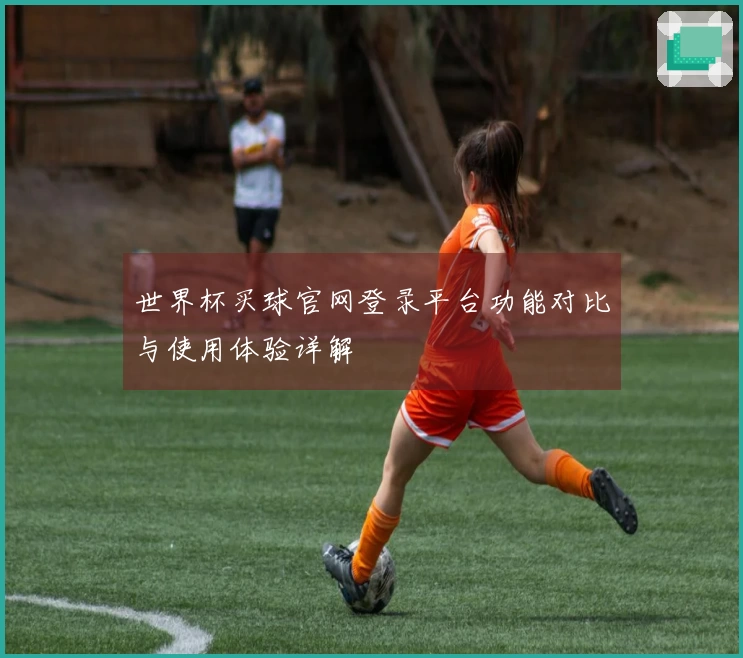 世界杯买球官网登录平台功能对比与使用体验详解