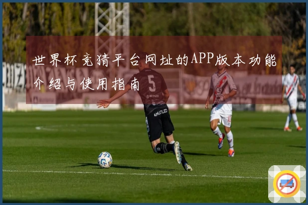 世界杯竞猜平台网址的APP版本功能介绍与使用指南