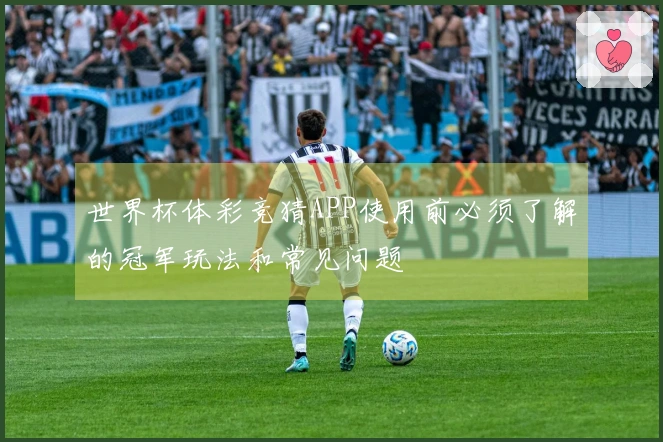 世界杯体彩竞猜APP使用前必须了解的冠军玩法和常见问题