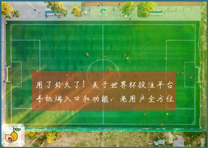 用了好久了!关于世界杯投注平台手机端入口和功能,老用户全方位说明