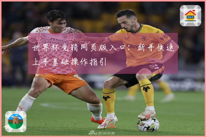 世界杯竞猜网页版入口：新手快速上手基础操作指引