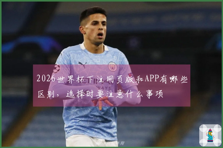 2026世界杯下注网页版和APP有哪些区别,选择时要注意什么事项