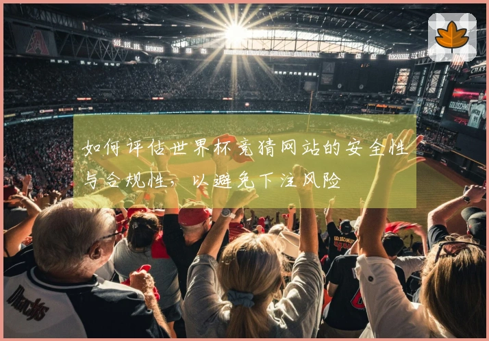 如何评估世界杯竞猜网站的安全性与合规性，以避免下注风险